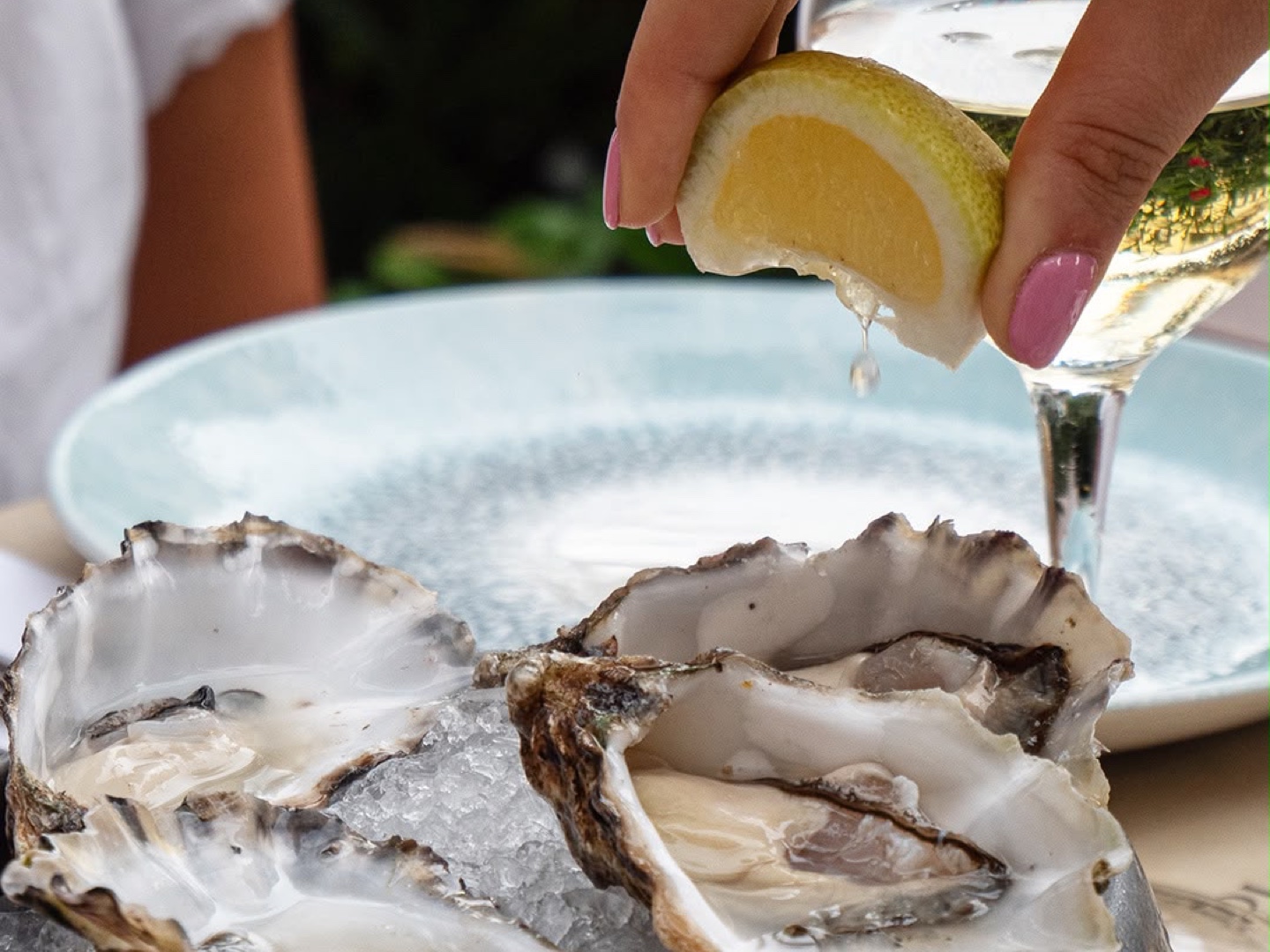 amelie-giardino-cc Oyster Month